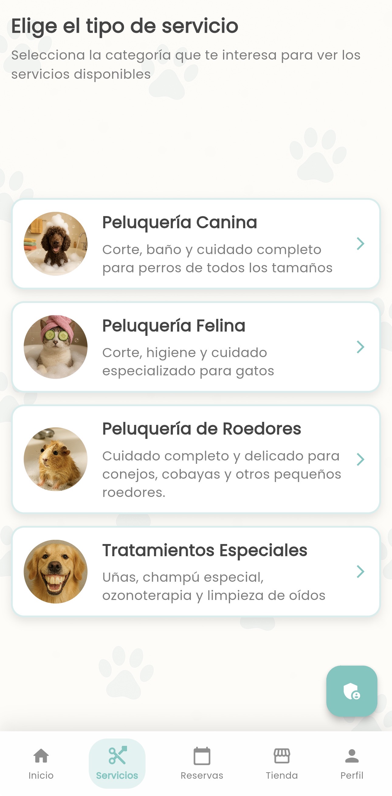 Vista 4 de la app +Cotas Spa